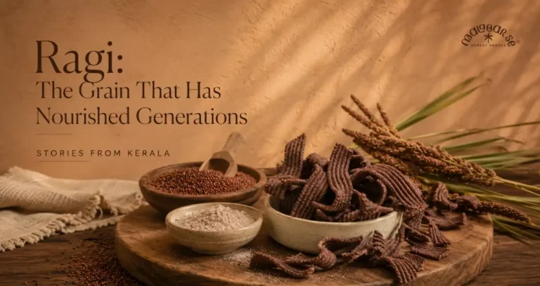 Ragi: The Grain That Has Nourished Generations
